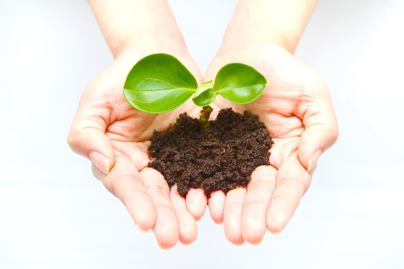 株式会社トータルワーク